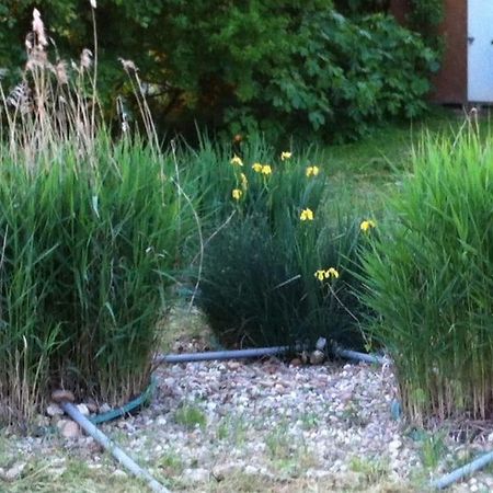 Appartement Neuf & Ecologique A La Campagne Marzens Zewnętrze zdjęcie