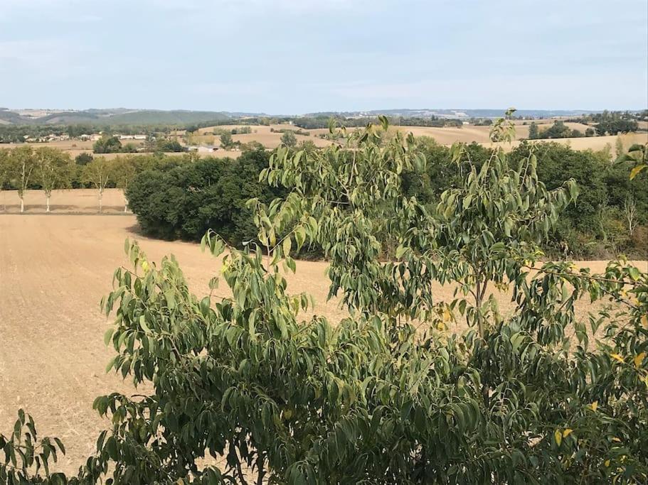 Appartement Neuf & Ecologique A La Campagne Marzens Zewnętrze zdjęcie