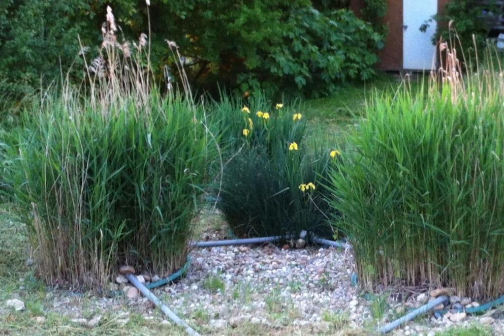 Appartement Neuf & Ecologique A La Campagne Marzens Zewnętrze zdjęcie